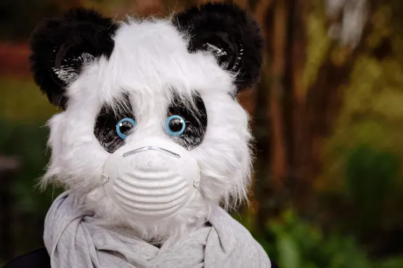 Kasino of Dreams Podpora